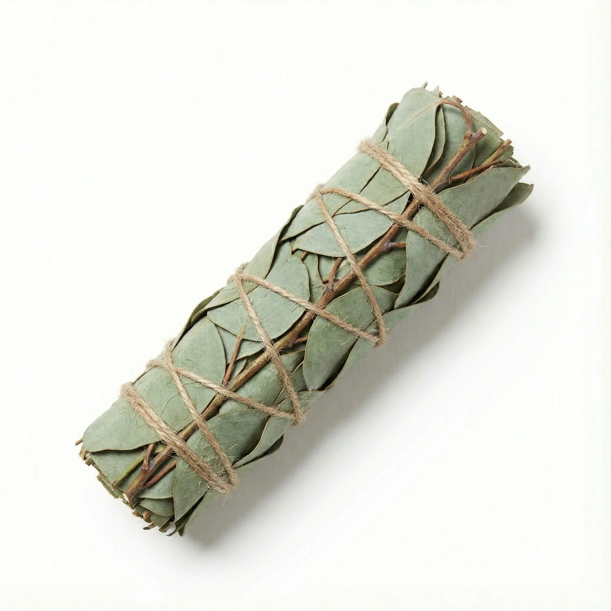 Eucalyptus Smudge Sticks 6"