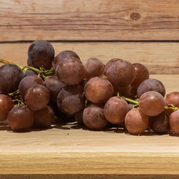 Grape Seed Oil
